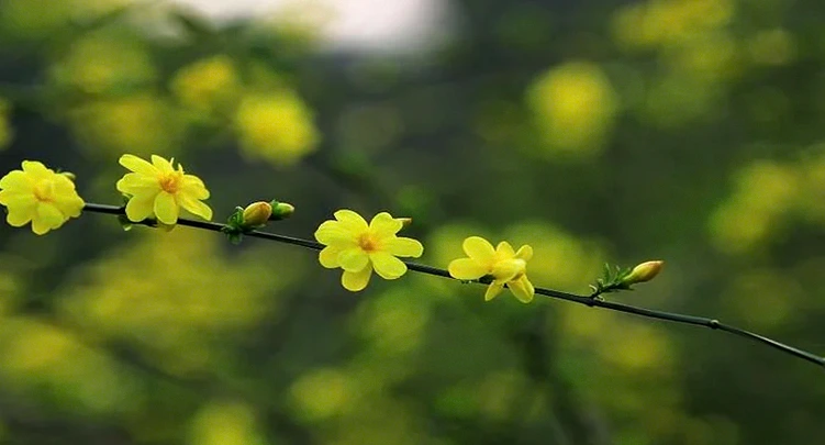 打工人专属30句励志话：治愈职场疲惫，重拾奋斗斗志